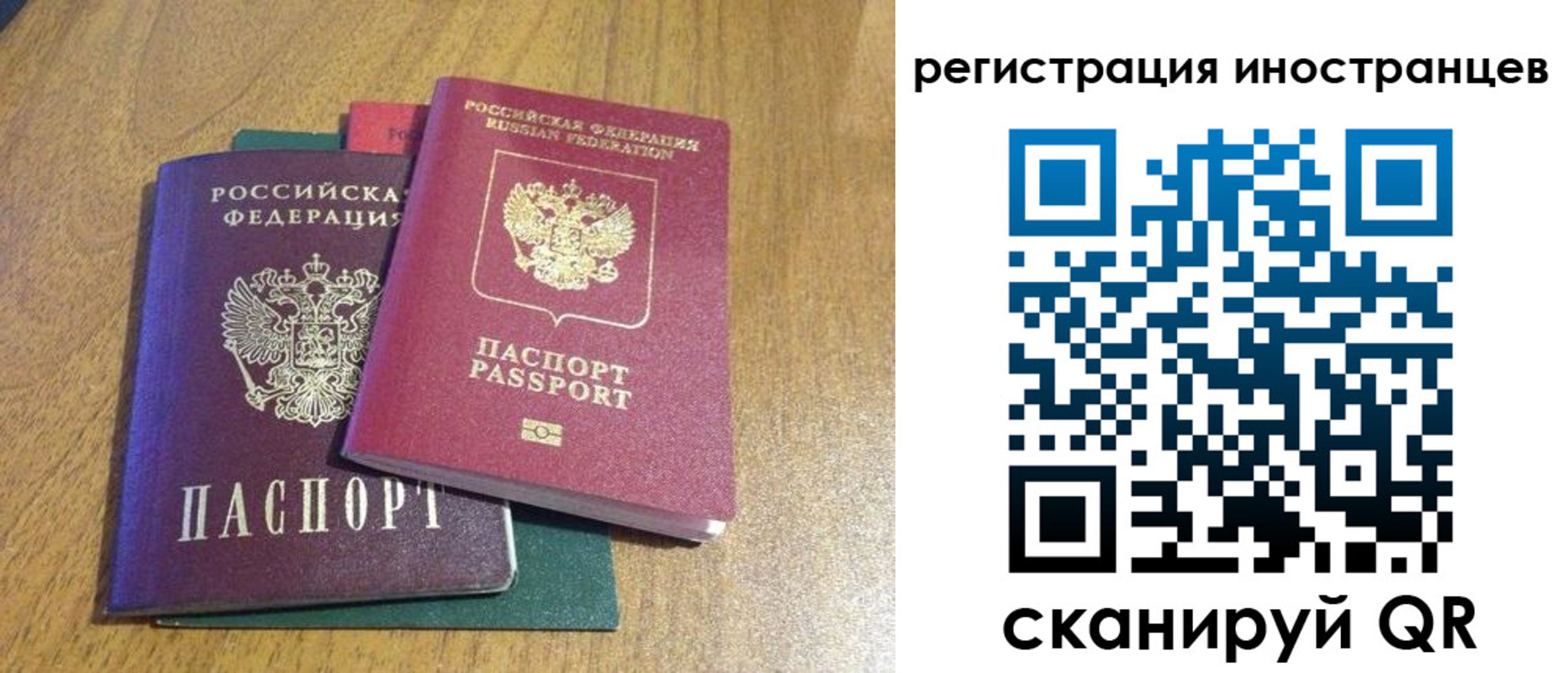 временная регистрация поиск в Боготоле